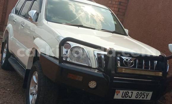 Buy Used Toyota Land Cruiser Other Car in Arua in Uganda