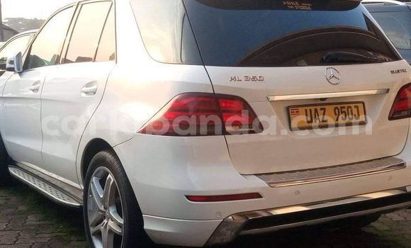 Acheter Occasion Voiture Mercedes‒Benz ML–Class Blanc à Arua, Ouganda Acheter Occasion Voiture Mercedes‒Benz ML–Class Blanc à Arua, Ouganda