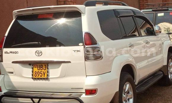 Buy Used Toyota Land Cruiser White Car in Bugembe in Eastern