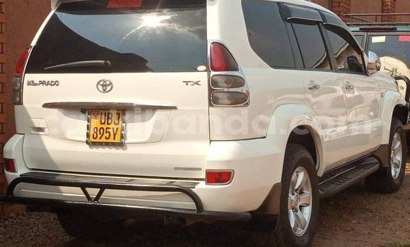 Acheter Occasion Voiture Toyota Land Cruiser Blanc à Bugembe, Est Acheter Occasion Voiture Toyota Land Cruiser Blanc à Bugembe, Est