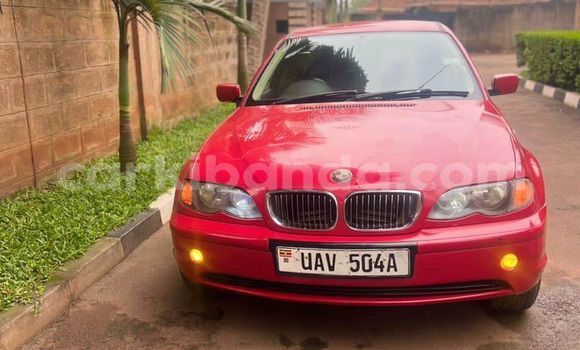Gura Yakoze BMW 315 Red Imodoka i Arua mu Uganda Gura Yakoze BMW 315 Red Imodoka i Arua mu Uganda