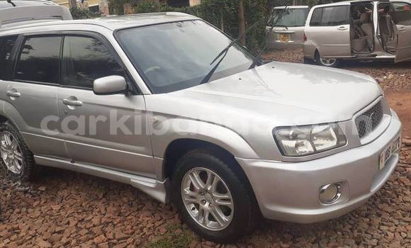 Buy Used Subaru Forester Other Car in Bugembe in Eastern