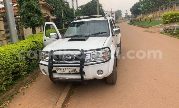 Nunua Ilio tumika Nissan Hardbody Nyeupe Gari ndani ya Arua nchini Uganda