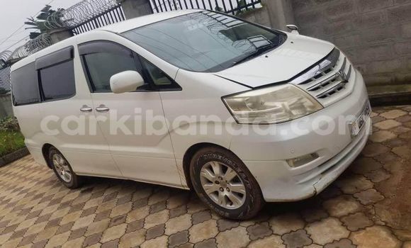 Buy Used Toyota Alphard White Car in Arua in Uganda