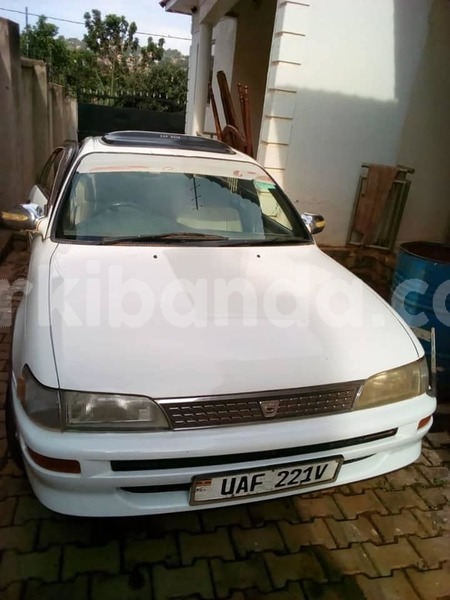 Big with watermark 47061477 358677461603024 249121602250211328 n