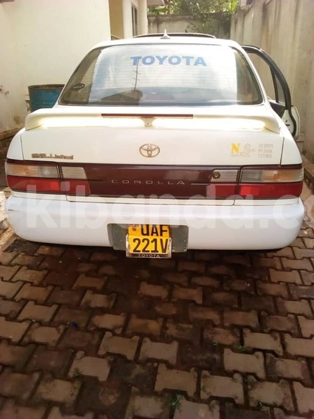 Big with watermark 46776423 358677434936360 6663004798914134016 n