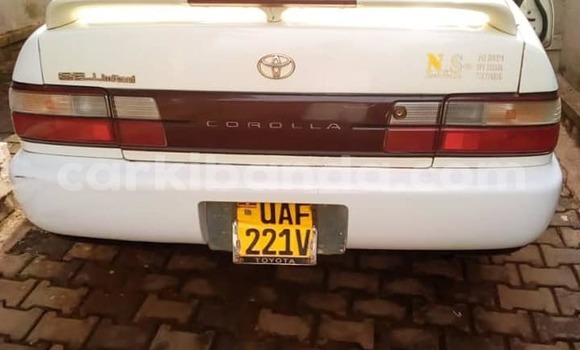 Buy Used Toyota Corolla White Car in Kampala in Uganda Buy Used Toyota Corolla White Car in Kampala in Uganda