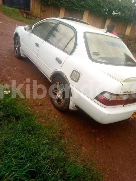 Big with watermark 47221341 358677364936367 2033381523884867584 n