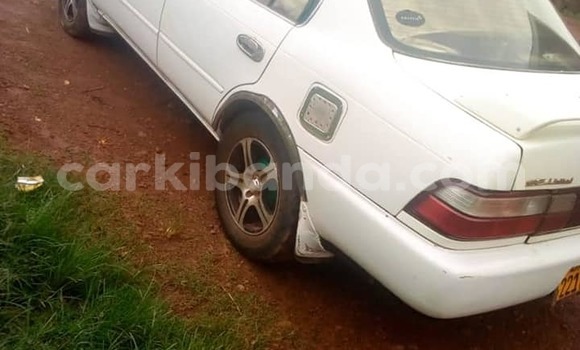 Buy Used Toyota Corolla White Car in Kampala in Uganda Buy Used Toyota Corolla White Car in Kampala in Uganda