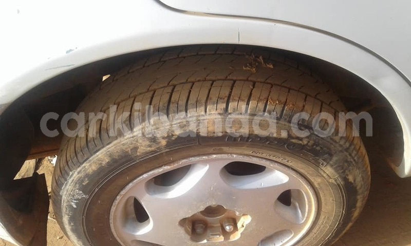 Big with watermark 47032953 358606714943432 5046238680449024 n