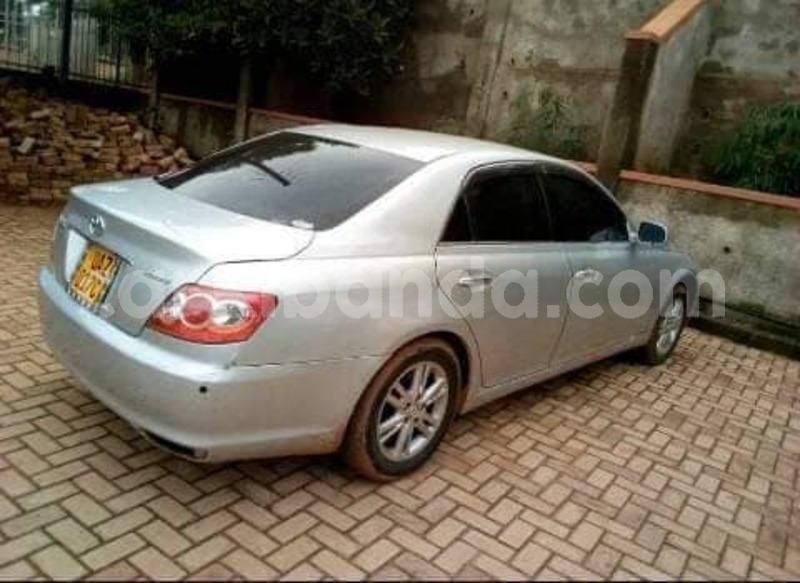 Big with watermark 47269704 358103968327040 6393065322676486144 n