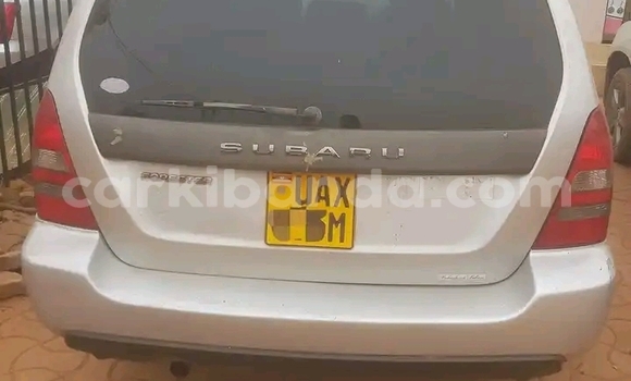 Nunua Ilio tumika Subaru Forester Nyingine Gari ndani ya Kampala nchini Uganda Nunua Ilio tumika Subaru Forester Nyingine Gari ndani ya Kampala nchini Uganda