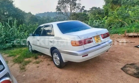 Buy Used Toyota Corona White Car in Kampala in Uganda Buy Used Toyota Corona White Car in Kampala in Uganda