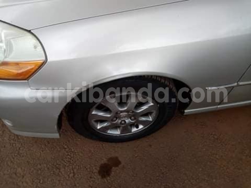 Big with watermark 46902069 357458588391578 7221453025313816576 n