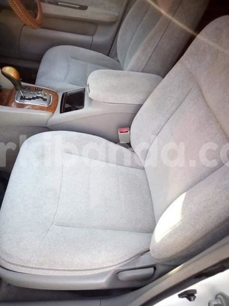 Big with watermark 47082919 357458671724903 3897729893961564160 n