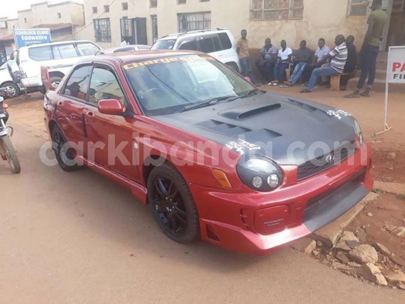 Big with watermark 47320911 949393028592789 4750828695231397888 n