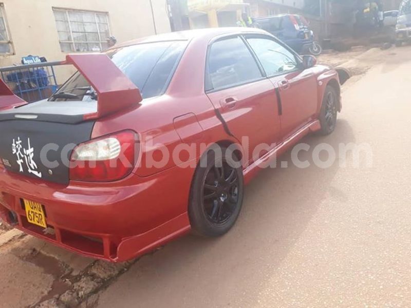 Big with watermark 47052452 949393055259453 1032864880782213120 n