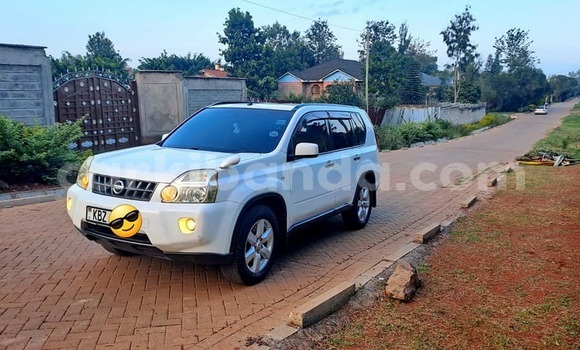 Buy Used Nissan X–Trail White Car in Bombo in Central Buy Used Nissan X–Trail White Car in Bombo in Central