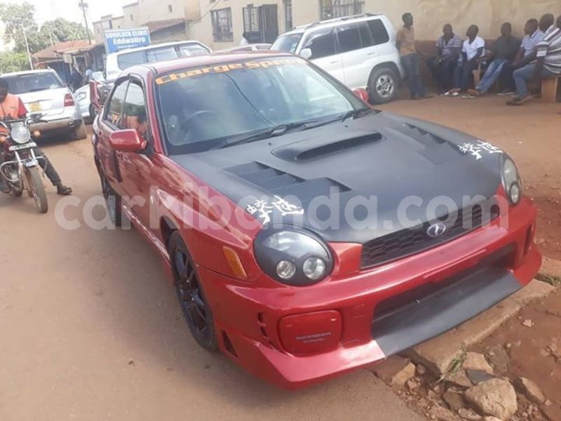 Big with watermark 47203018 949392995259459 3973530783926190080 n