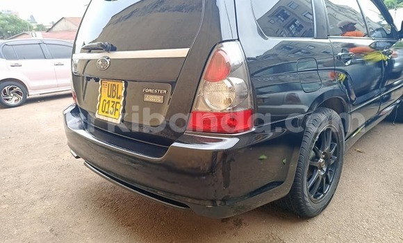 Buy Used Subaru Bighorn Black Car in Kampala in Uganda Buy Used Subaru Bighorn Black Car in Kampala in Uganda