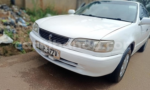 Acheter Occasion Voiture Toyota Corolla Blanc à Bugembe, Est