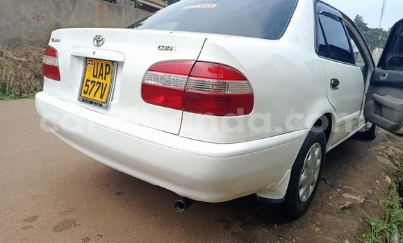 Buy Used Toyota Corolla White Car in Bugembe in Eastern Buy Used Toyota Corolla White Car in Bugembe in Eastern