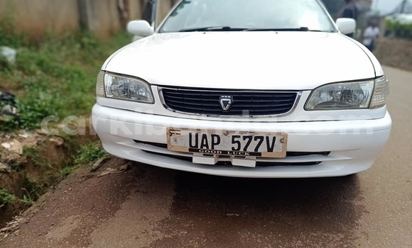 Buy Used Toyota Corolla White Car in Bugembe in Eastern Buy Used Toyota Corolla White Car in Bugembe in Eastern
