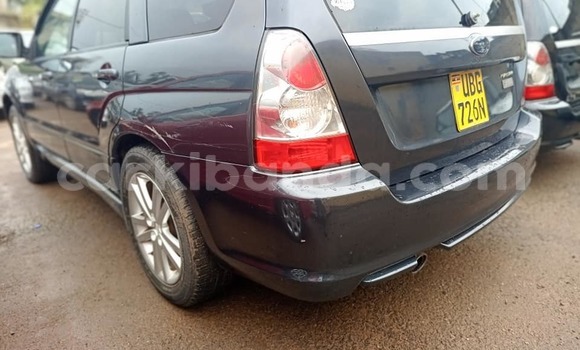 Buy Used Subaru Forester Black Car in Kampala in Uganda Buy Used Subaru Forester Black Car in Kampala in Uganda