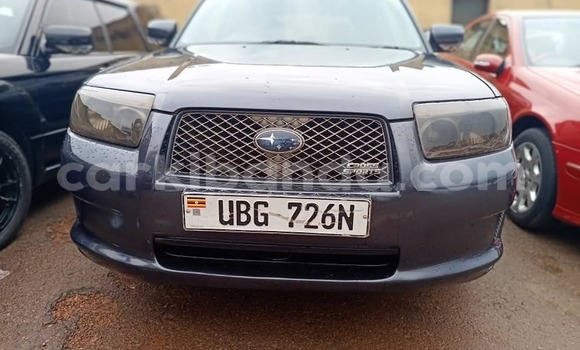 Buy Used Subaru Forester Black Car in Kampala in Uganda Buy Used Subaru Forester Black Car in Kampala in Uganda