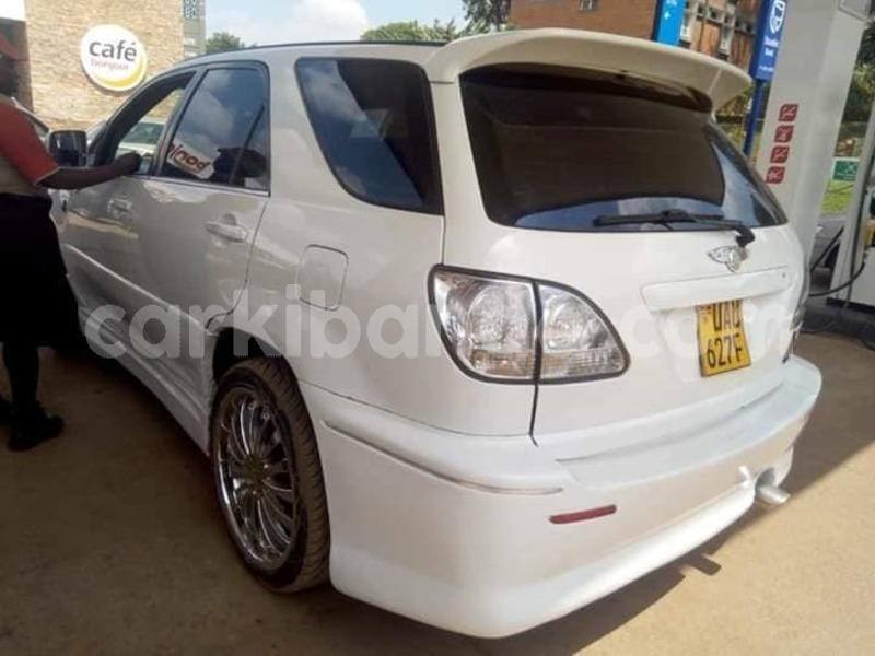 Big with watermark 47382736 949327778599314 6385416668822110208 n