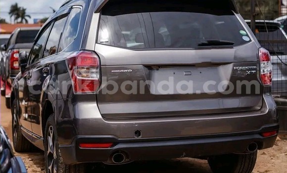 Buy Used Subaru XT Beige Car in Kampala in Uganda