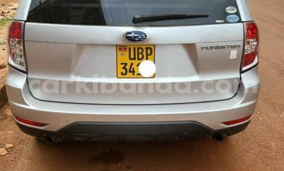 Buy Used Subaru Forester Other Car in Kampala in Uganda