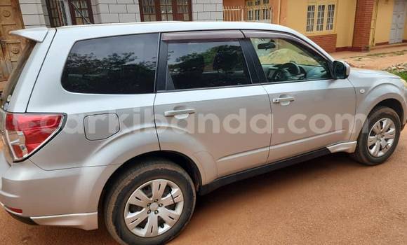 Acheter Occasion Voiture Subaru Forester Autre à Kampala, Ouganda Acheter Occasion Voiture Subaru Forester Autre à Kampala, Ouganda