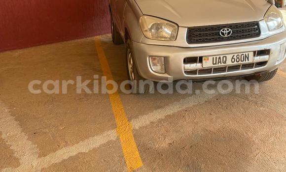 Buy Used Toyota RAV4 Silver Car in Kampala in Uganda Buy Used Toyota RAV4 Silver Car in Kampala in Uganda