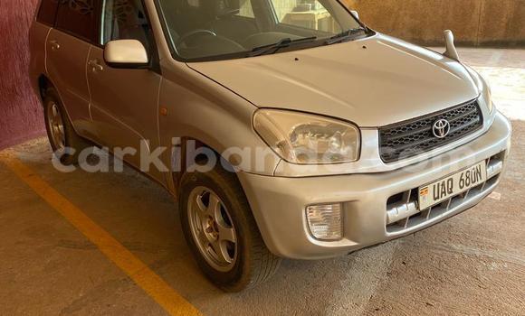 Buy Used Toyota RAV4 Silver Car in Kampala in Uganda Buy Used Toyota RAV4 Silver Car in Kampala in Uganda