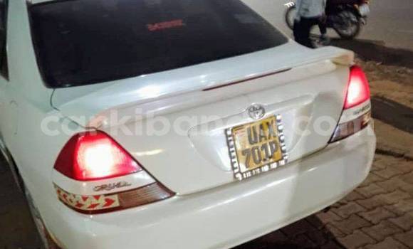Buy Used Acura CSX Other Car in Bombo in Central