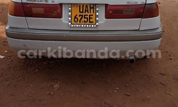 Buy Used Acura CSX Other Car in Kampala in Uganda Buy Used Acura CSX Other Car in Kampala in Uganda