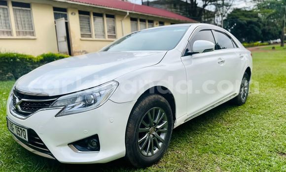 Buy Used Toyota Mark X White Car in Mbale in Uganda Buy Used Toyota Mark X White Car in Mbale in Uganda