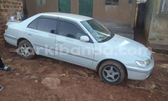 Buy Used Toyota 4Runner Other Car in Kampala in Uganda