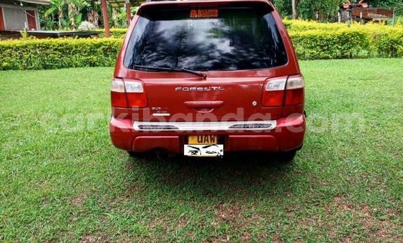 Gura Yakoze Subaru Ascent Other Imodoka i Kampala mu Uganda Gura Yakoze Subaru Ascent Other Imodoka i Kampala mu Uganda
