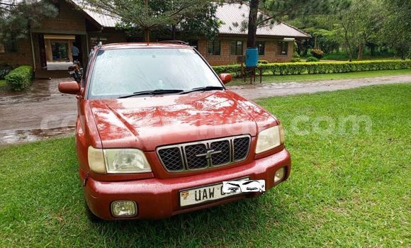 Gura Yakoze Subaru Ascent Other Imodoka i Kampala mu Uganda Gura Yakoze Subaru Ascent Other Imodoka i Kampala mu Uganda