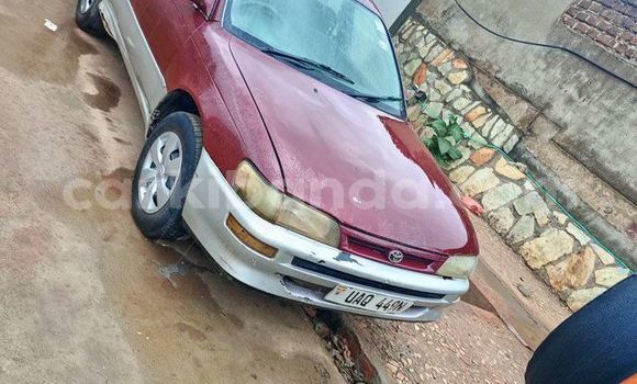Nunua Ilio tumika Toyota Altis Nyingine Gari ndani ya Kampala nchini Uganda Nunua Ilio tumika Toyota Altis Nyingine Gari ndani ya Kampala nchini Uganda