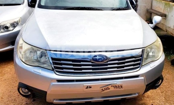 Buy Used Subaru Forester White Car in Bombo in Central