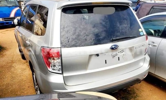 Acheter Occasion Voiture Subaru Forester Blanc à Bombo, Central Acheter Occasion Voiture Subaru Forester Blanc à Bombo, Central