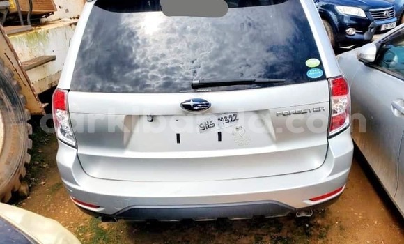Acheter Occasion Voiture Subaru Forester Blanc à Bombo, Central Acheter Occasion Voiture Subaru Forester Blanc à Bombo, Central