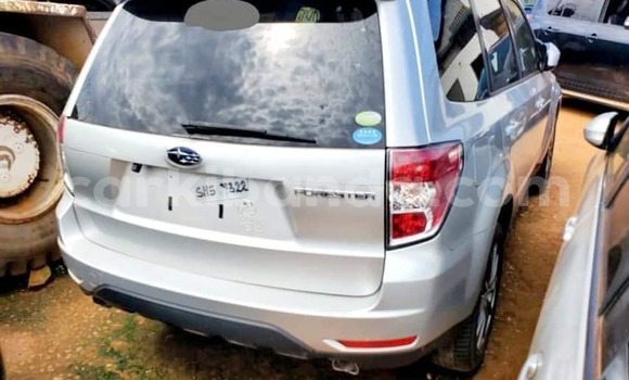 Acheter Occasion Voiture Subaru Forester Blanc à Bombo, Central Acheter Occasion Voiture Subaru Forester Blanc à Bombo, Central