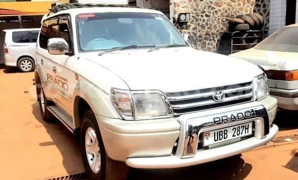 Nunua Ilio tumika Toyota Prado Nyeupe Gari ndani ya Bombo nchini Kati