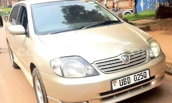Nunua Ilio tumika Toyota Allex Nyingine Gari ndani ya Bugembe nchini Mashariki