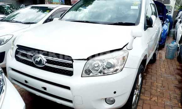 Buy Used Toyota RAV4 White Car in Bombo in Central