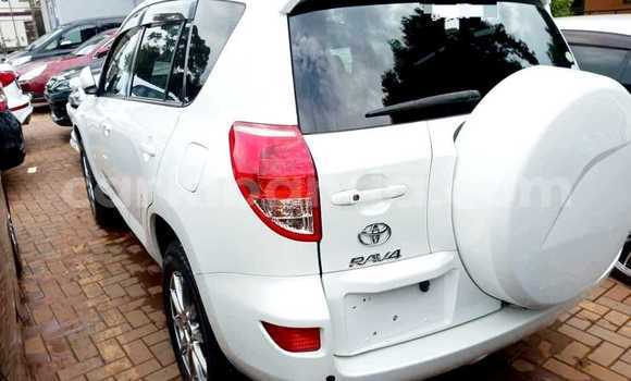 Acheter Occasion Voiture Toyota RAV4 Blanc à Bombo, Central Acheter Occasion Voiture Toyota RAV4 Blanc à Bombo, Central